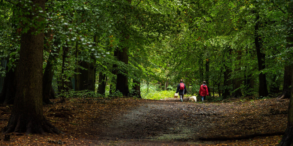 Menschen im Wald mit Hund