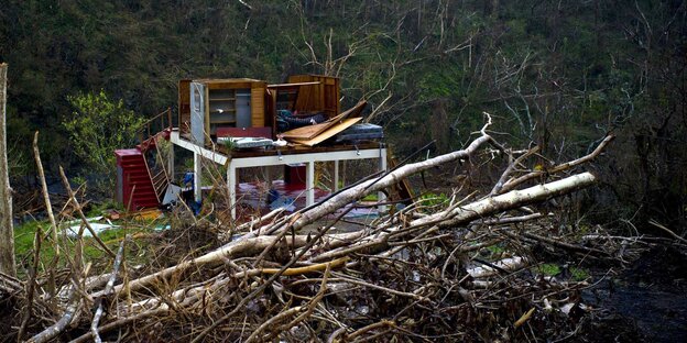 Ein kaputtes Haus inmitten von zerstörten Wäldern