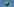 Ein grüner großer Luftballon mit einer Sonnenblume drauf fliegt vor einem blauen wolkenlosen Himmel