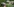 Zwei Frauen liegen auf einer Wiese, sie haben Masken aus Alufolie im Gesicht