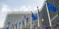 Fahnen vor der EU-Komission in Brüssel