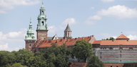 Die Burg von Krakau mit Kirchtürmen