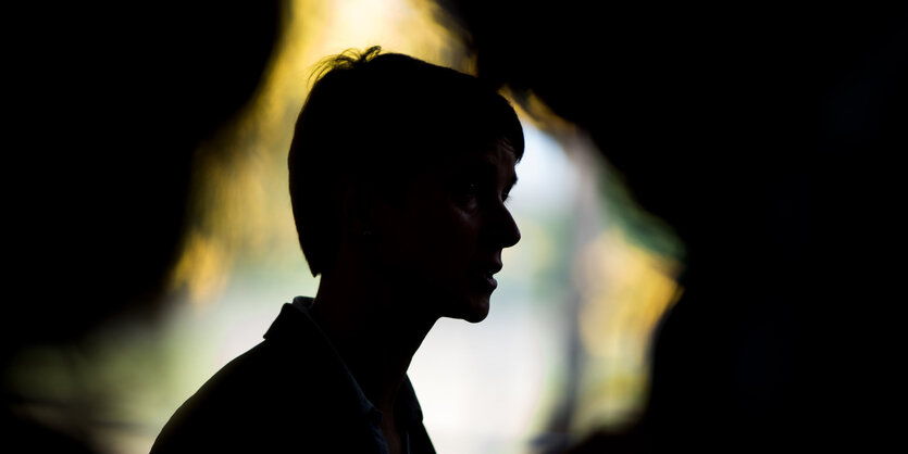 Die Umrisse von Frauke Petry