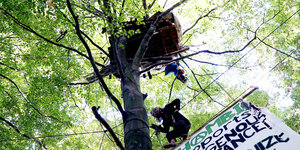 Ein Aktivist klettern im Hambacher Forst auf einen Baum