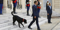Hinter Emmanuel Macron läuft ein schwarzer Hund