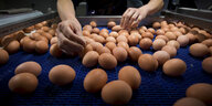 braune Eier werden von Händen auf einer schwarzen Fläche sortiert