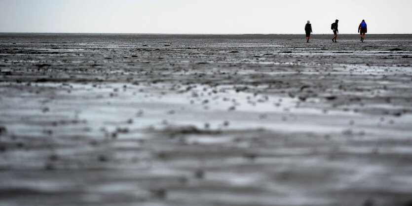 Wattenmeer bei Ebbe mit Wanderern