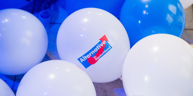 Werbeballons der AfD