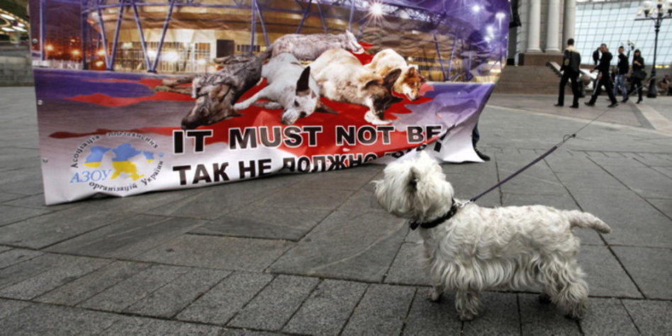 Hund vergewaltigt worden vom München: Horror