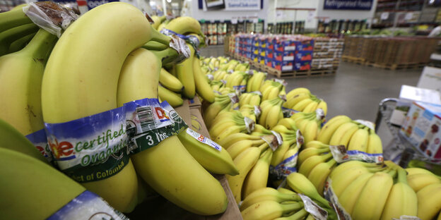 Bio-Bananen in einem Laden