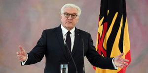 Steinmeier an einem Pult vor Deutschlandfahne
