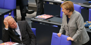 Jürgen Trittin (li., sitzend) und Angela Merkel sprechen miteinander im Bundestag