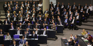 Abgeordnete der AfD im Bundestag