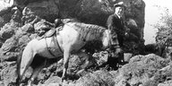Nikolai Iwanowitsch Wawilow mit Pferd auf Erkundungstour im Südkaukasus