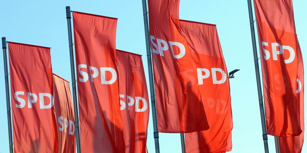 Mehrere SPD-Fahnen im Wind