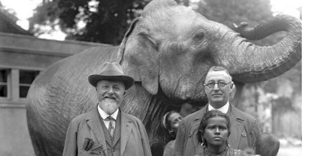 Ludwig Heck im gruppenbild vor einem Elefanten