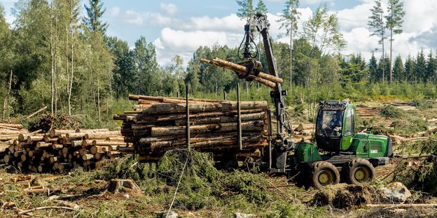 Holz wird aus einem Waldgebiet abtransportiert