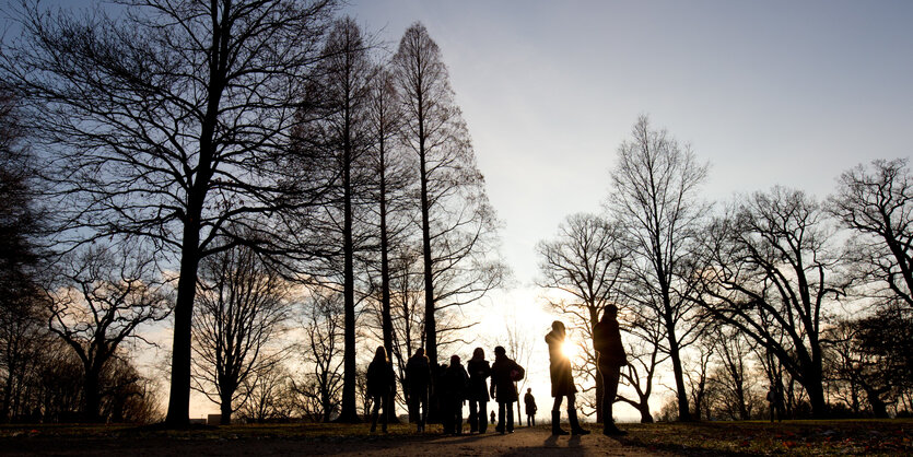 Ein Park in der Dämmerung in Hamburg