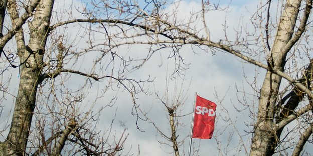Eine SPD-Flagge ist zwischen Bäumen zu sehen