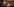 Carles Puigdemont von Fotografen umringt