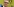 ein Mann läschelt, im Hintergrund das BVB-Logo