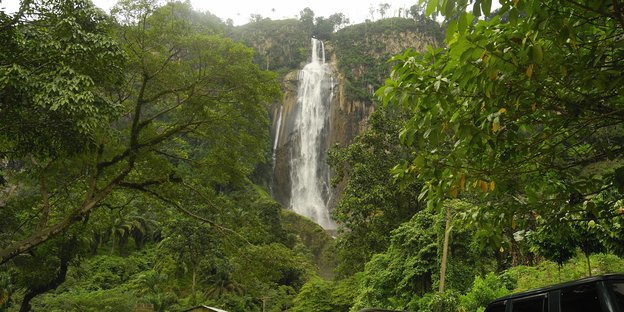 Ein Wasserfall im Grünen