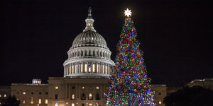 Weihnachtsbaum vor dem Kapitol in Washington