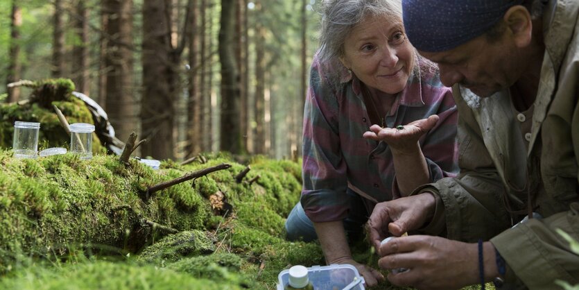 Ein Mann und eine Frau hocken auf einem Waldboden, die Frau hat einen Käfer auf der Hand, der Mann füllt etwa in ein Fläschchen.