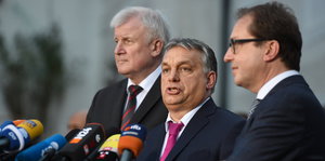 Drei Männer in Anzügen stehen vor einem Mikrofon