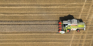 Foto eines Mähdreschers bei der Ernte