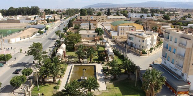 Blick von oben auf den Teil einer Stadt mit ein Park mit Palmen, im Hintergrund Berge