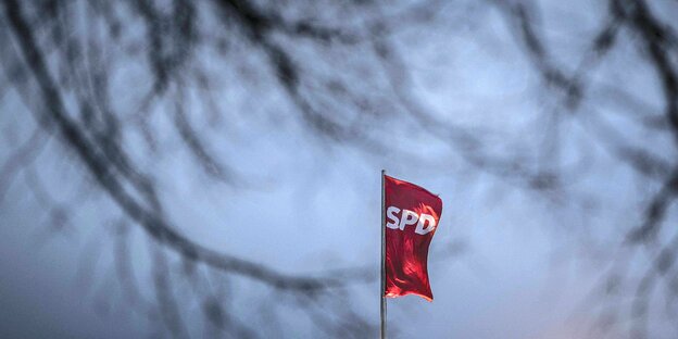 Eine SPD-Fahne scheint durch Äste hindurch