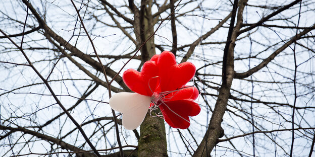 In einem kahlen Baum hängen rote und ein weißer Luftballon