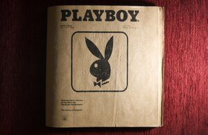 Eine Ausgabe des Brailleplayboys auf brauner Pappe, auf der Titelseite sieht man Brailleschrift und ein Bild von einem Playboyhasen