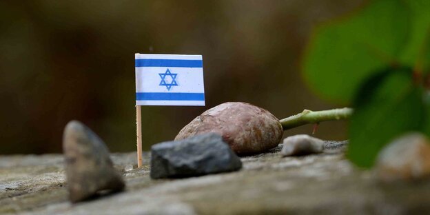Eine kleine Israel-Fahne steckt auf einem Gedenkstein auf dem ehemaligen Lagergelände des KZ Bergen-Belsen.