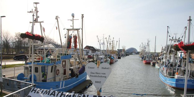 Krabbenkutter liegen im langezogenen Hafenbecken von Friedrichskoog.