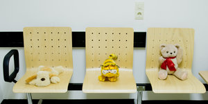 Jeweils auf den Holzstühlen einer Arztpraxis: ein Teddybär mit Schal, ein Kater und ein Hund