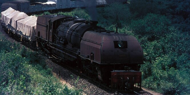 Eine Bahn fährt durch eine grüne Landschaft