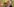Der Historiker und Fernsehjournalist Guido Knopp guckt verzweifelt nach oben