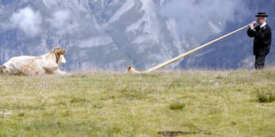 Ein Mann bläst in ein Alphorn, daneben liegt ein Schaf