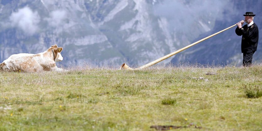 Ein Mann bläst in ein Alphorn, daneben liegt ein Schaf