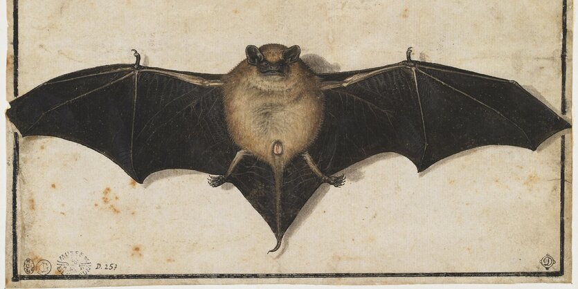 Kunstwerk mit Fledermaus