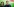 Eine Frau und ein Mann nebeneinander. Im Hintergrund eine grüne Wand