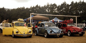 Drei VW-Käfer in gelb, blau, rot stehen nebeneinander auf einem Feld