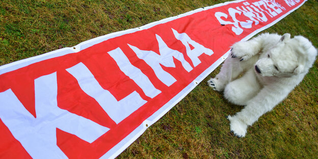 Klimaprotestler mit Eisbärenkostüm vor einem Banner