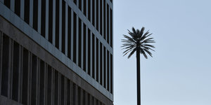 Eine künstliche Palme steht als «Kunst am Bau» auf dem Gelände des Bundesnachrichtendienstes