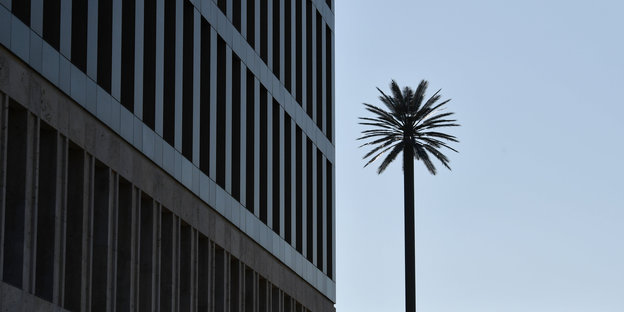 Eine künstliche Palme steht als «Kunst am Bau» auf dem Gelände des Bundesnachrichtendienstes