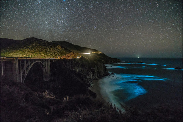 Auf der linken Bildhälfte hohe Felswände an der Küste, auf der rechten Bildhälfte das dunkle Meer, das von grell läuchtenden blauen Flächen durchzogen ist. Am Himmel leuchten tausende Sterne.