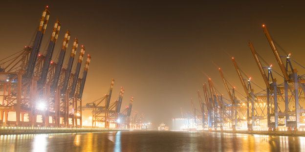 Beleuchtete Kräne bei Nacht im Hamburger Hafen