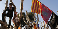 Ein Mann mit Puigdemont-Maske steht in einem kahlen Baum, daneben wehen katalanische Flaggen